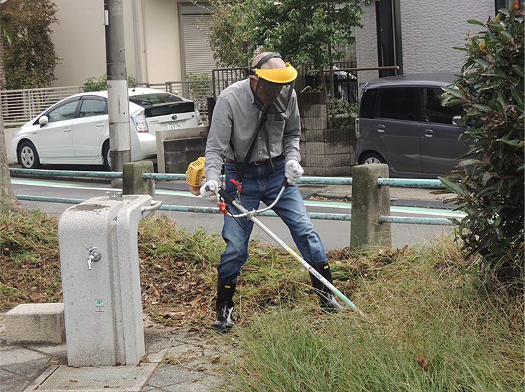 公園清掃活動